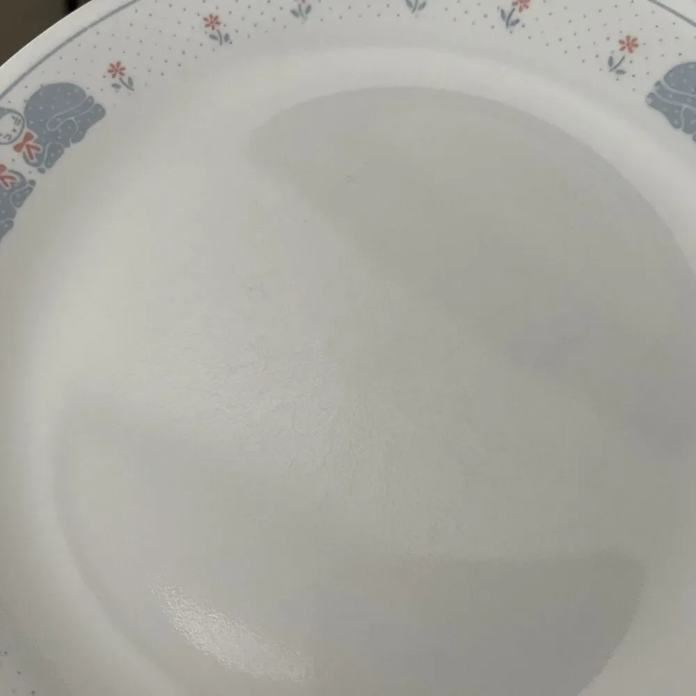 Corelle tiny chip